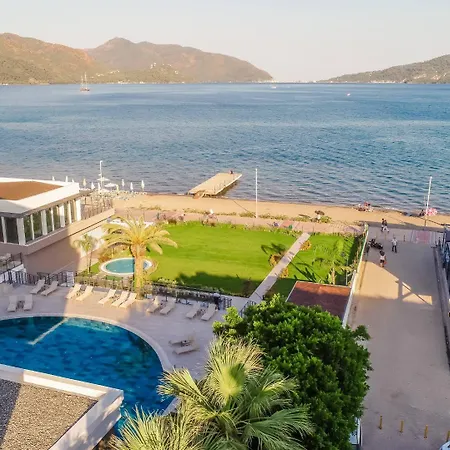 Random By Lookbookholiday